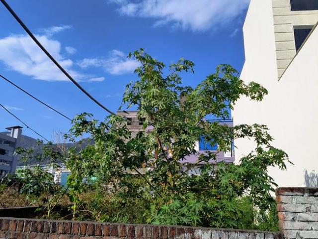 Residential Plot in Kulhan for resale Dehradun. The reference number is 17816430