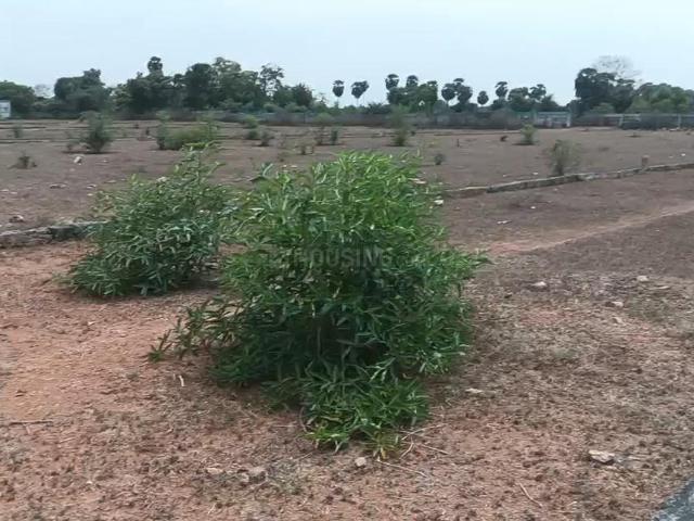 Residential Plot in Kunnavakkam, Cheyyar for resale Chennai. The reference number is 20915695