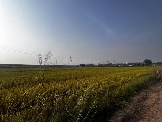 Residential Plot in Kurali for resale Mohali. The reference number is 21290591