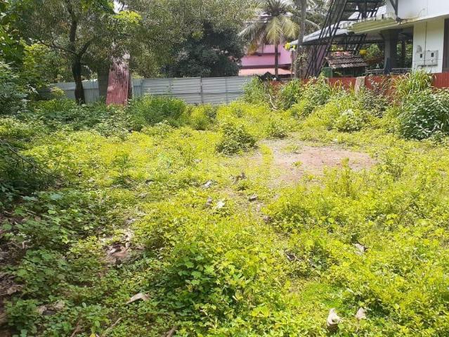 Residential Plot in Kuriachira for resale Thrissur. The reference number is 20138655