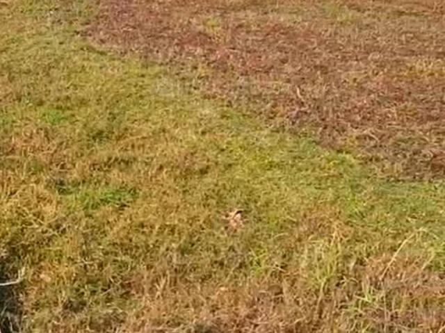 Residential Plot in Kurkuri for resale Patna. The reference number is 18853420