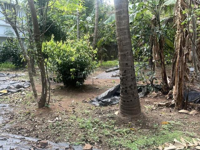 Residential Plot in Kuttanellur for resale Thrissur. The reference number is 19632218