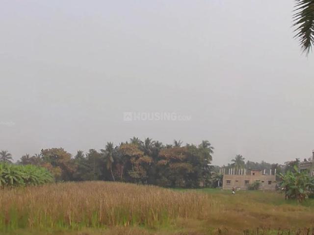 Residential Plot in Kabardanga for resale Kolkata. The reference number is 18277902