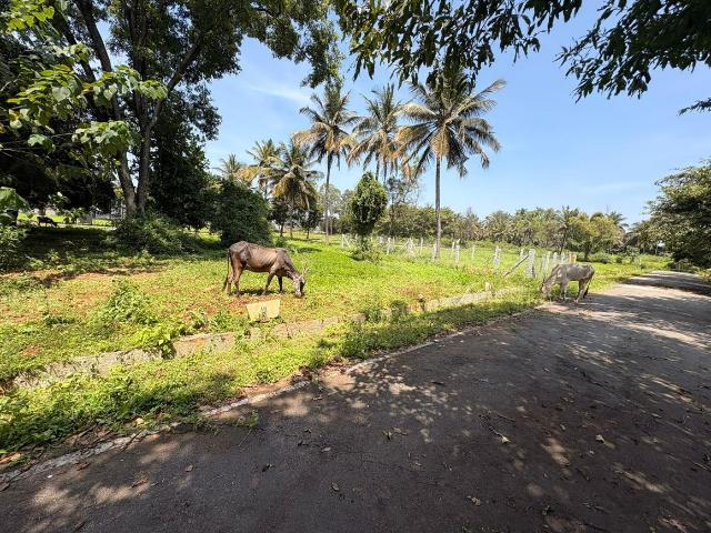 Residential Plot in Kaggalipura for resale Bengaluru. The reference number is 18584269