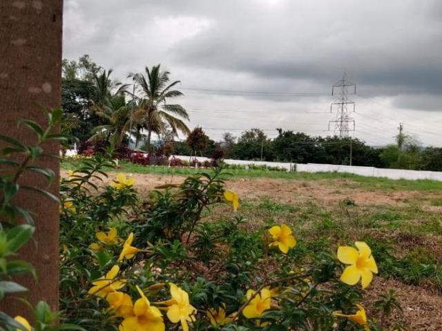 Residential Plot in Kaggalipura for resale Bengaluru. The reference number is 19955253
