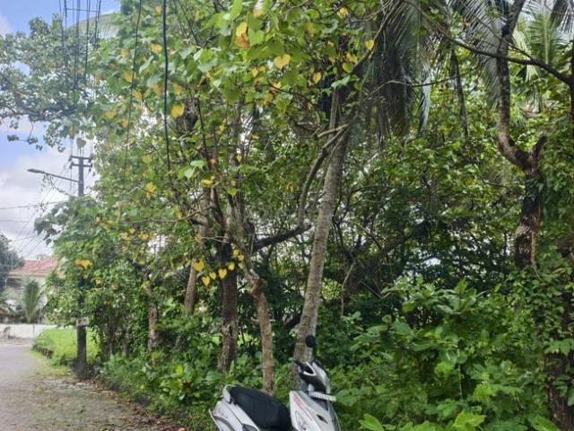 Residential Plot in Kadavanthra for resale Kochi. The reference number is 21007642