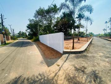 Ernakulam, Ernakulam District, Kerala State