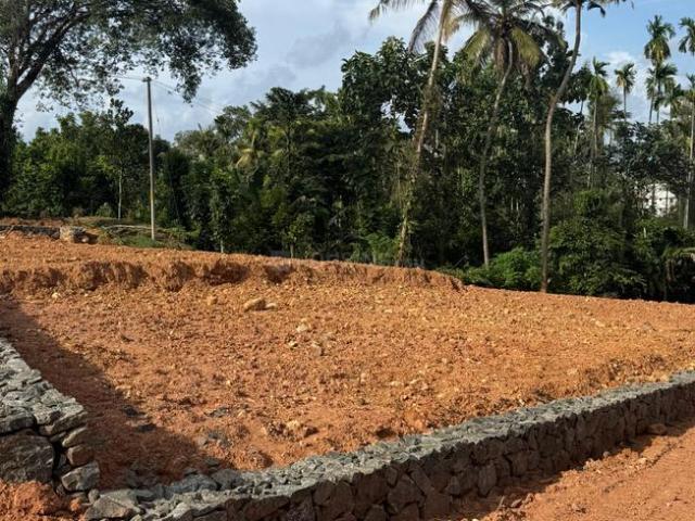 Residential Plot in Kakkanad for resale Kochi. The reference number is 18341908