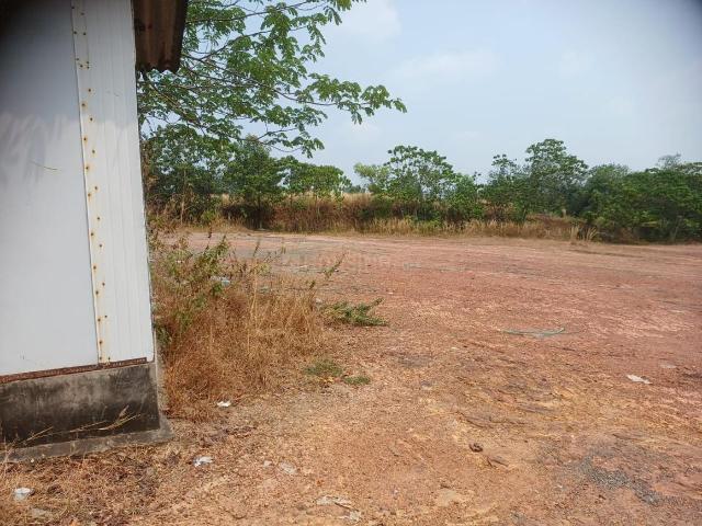 Residential Plot in Kakkanad for resale Kochi. The reference number is 19607713