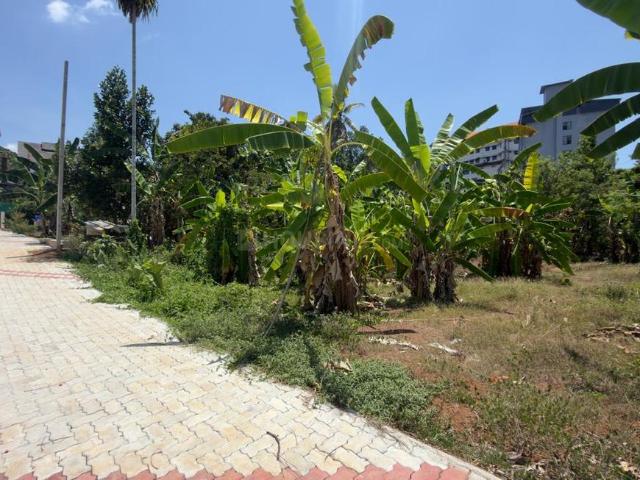 Residential Plot in Kakkanad for resale Kochi. The reference number is 19944231