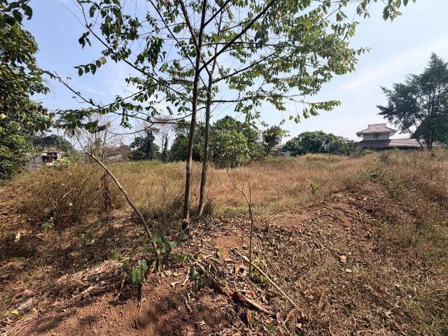 Residential Plot in Kakkanad for resale Kochi. The reference number is 19253747