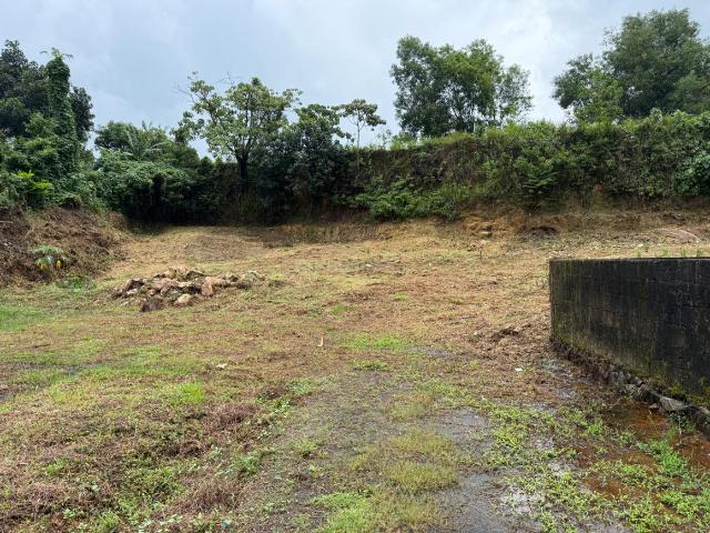 Residential Plot in Kakkanad for resale Kochi. The reference number is 20679454