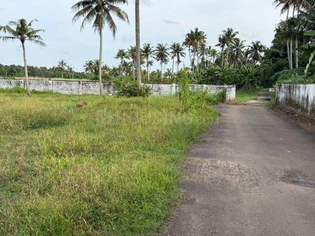 Residential Plot in Kakkanad for resale Kochi. The reference number is 20769058
