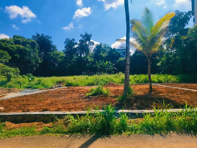 Residential Plot in Kakkanad for resale Kochi. The reference number is 21260802