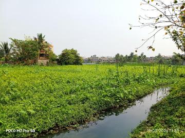 Residential Plot in Kaikhali for resale Kolkata. The reference number is 20214028