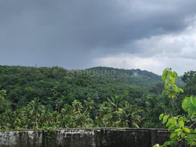 Residential Plot in Kaipadi for resale Thiruvananthapuram. The reference number is 19569296