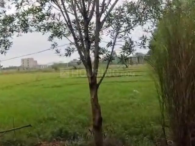Residential Plot in Kairi for resale Bhubaneswar. The reference number is 21148005