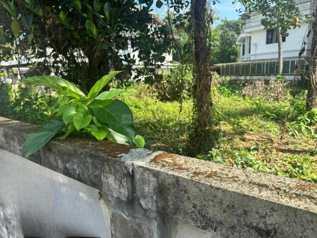 Residential Plot in Kalathode for resale Thrissur. The reference number is 18450799