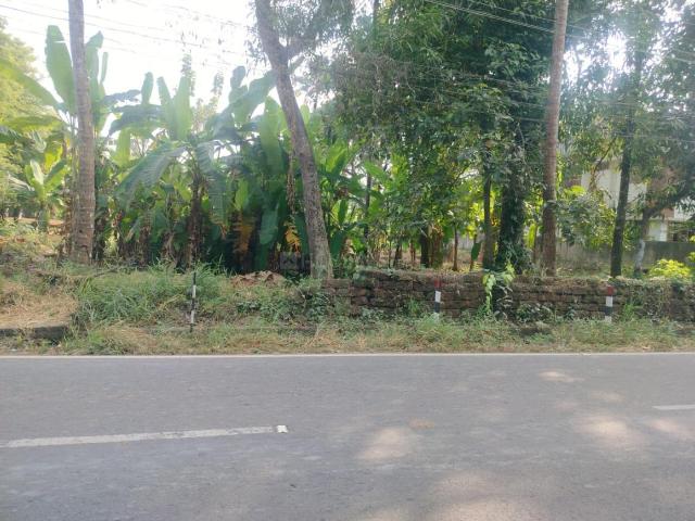 Residential Plot in Kalady for resale Kochi. The reference number is 19175744