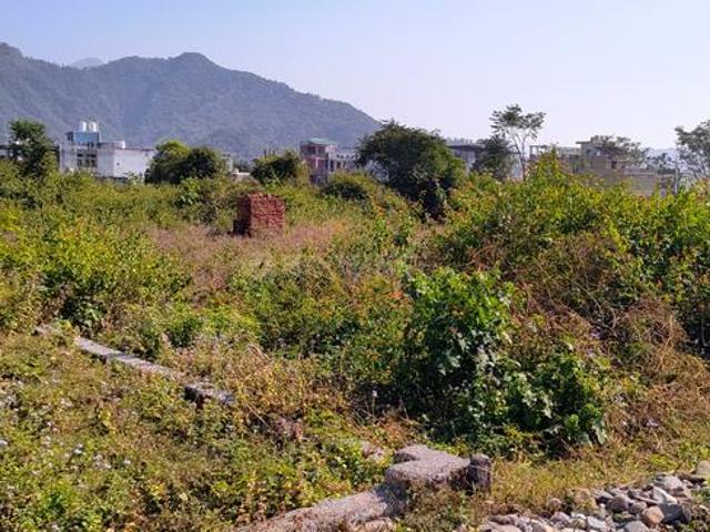 Residential Plot in Kalagaon for resale Dehradun. The reference number is 18815828