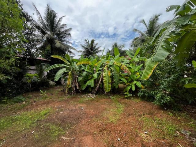 Residential Plot in Kalamassery for resale Kochi. The reference number is 20476417