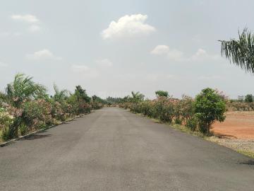 Residential Plot in Kalapatti for resale Coimbatore. The reference number is 19961473