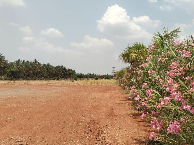 Residential Plot in Kalapatti for resale Coimbatore. The reference number is 19961569