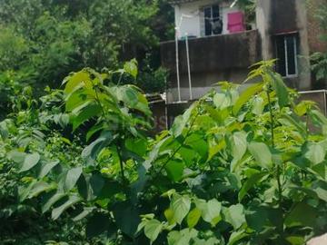 Residential Plot in Kalikapur, EM Bypass for resale Kolkata. The reference number is 20214785