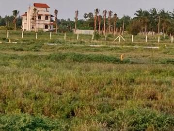 Residential Plot in Kalpakkam for resale Chennai. The reference number is 10429440