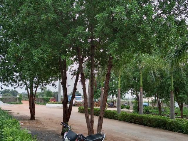Residential Plot in Kamal Vihar for resale Raipur. The reference number is 20930198