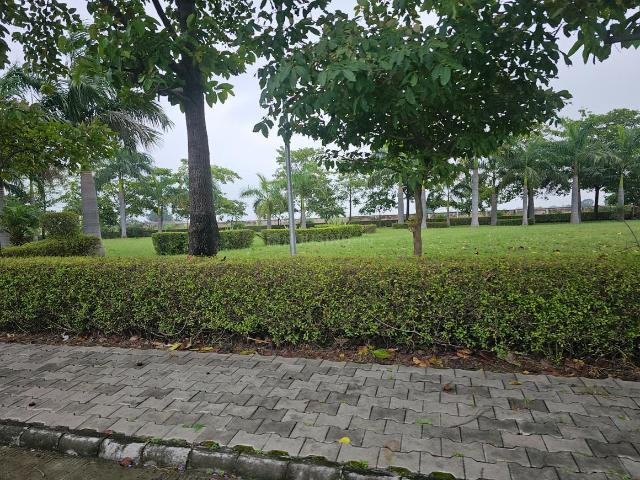 Residential Plot in Kanadiya for resale Indore. The reference number is 18035388