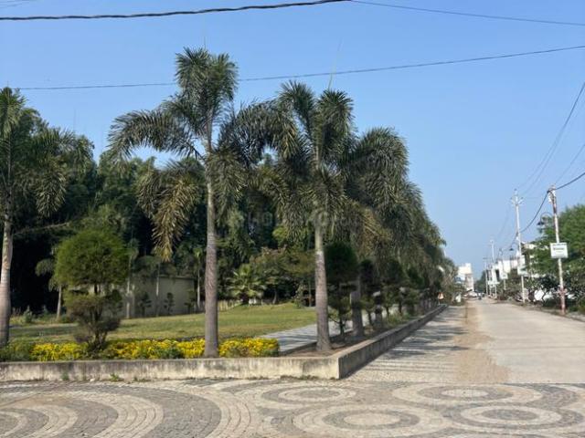 Residential Plot in Kanadiya for resale Indore. The reference number is 19077382