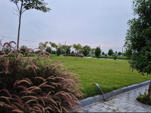 Residential Plot in Kanadiya for resale Indore. The reference number is 20854416