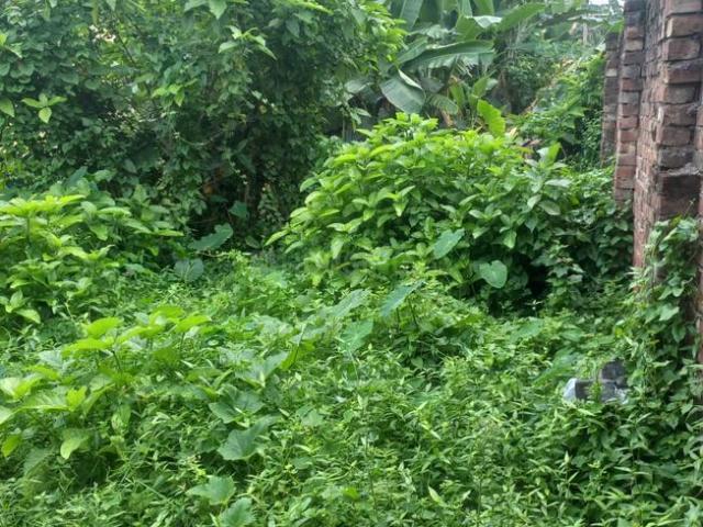 Residential Plot in Kanchrapara for resale North 24 Parganas District. The reference number is 20556686