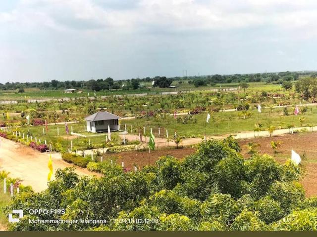Residential Plot in Kandukur for resale Hyderabad. The reference number is 21047643