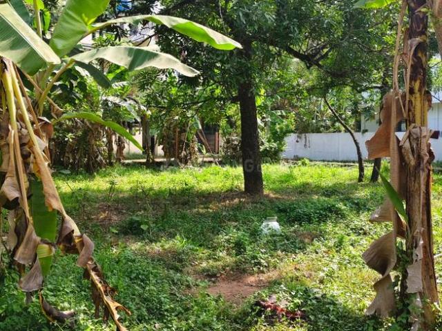 Residential Plot in Kangarappady for resale Kochi. The reference number is 19988657