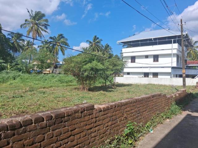 Residential Plot in Kanjikode for resale Palakkad. The reference number is 21209292