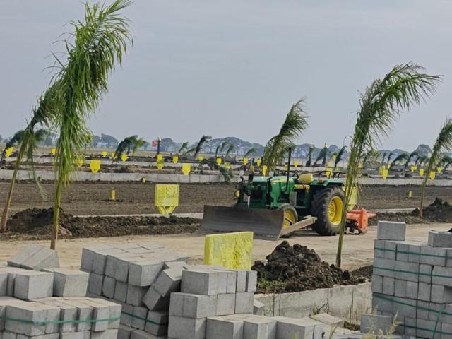 Residential Plot in Kankipadu for resale Vijayawada. The reference number is 19266016