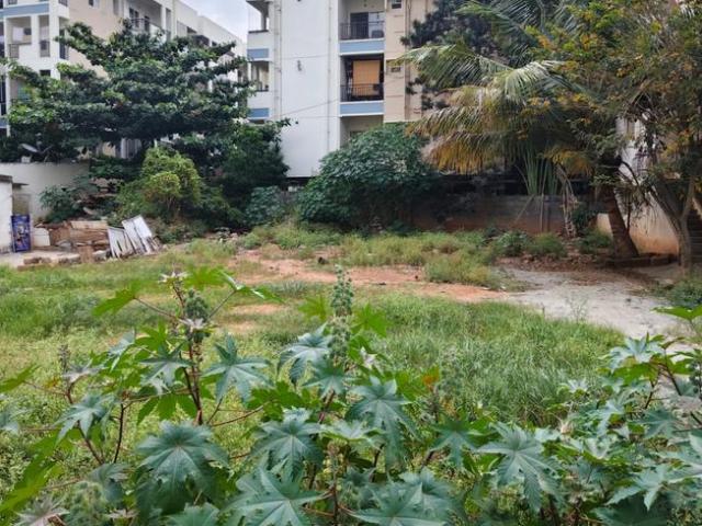 Residential Plot in Kasavanahalli for resale Bengaluru. The reference number is 21137764