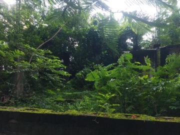 East Calcutta Township, Kolkata, Howrah District, West Bengal