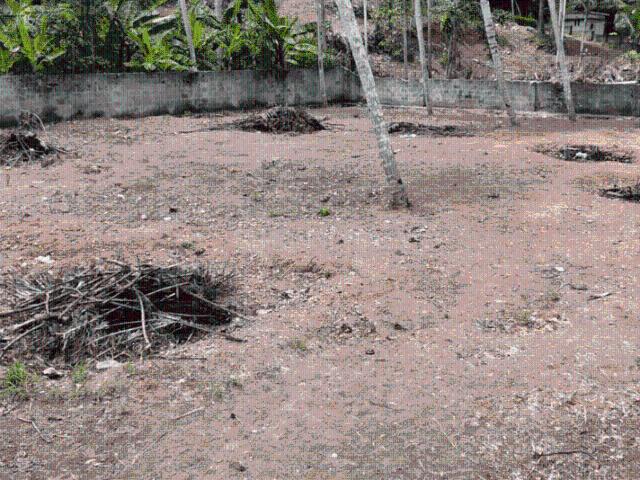 Residential Plot in Karakulam for resale Thiruvananthapuram. The reference number is 21322897