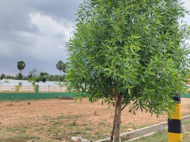 Residential Plot in Kariampalayam for resale Coimbatore. The reference number is 18649199