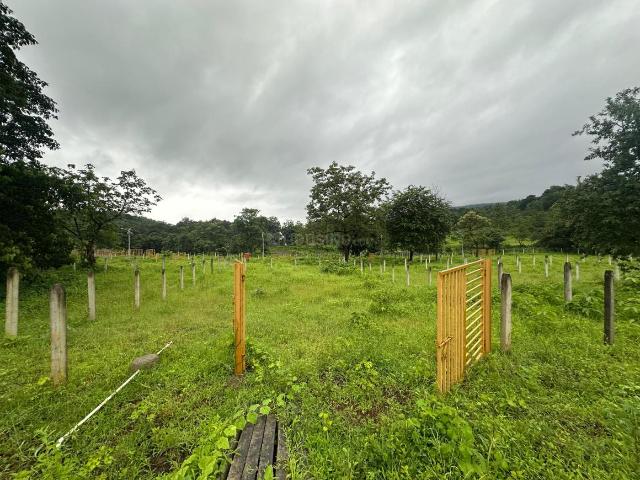 Residential Plot in Karjat for resale Thane. The reference number is 17942636