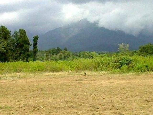 Residential Plot in Karjat for resale Thane. The reference number is 19030328
