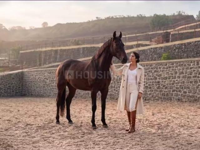Residential Plot in Karjat for resale Thane. The reference number is 20200501