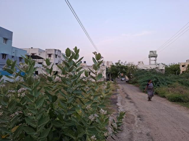 Residential Plot in Karumandapam for resale Tiruchirappalli. The reference number is 19954705