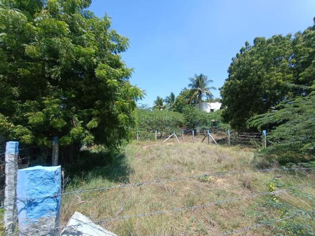 Residential Plot in Karumandapam for resale Tiruchirappalli. The reference number is 21188831