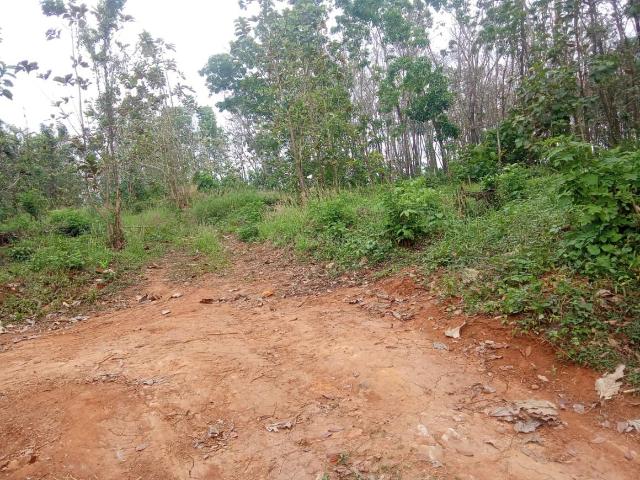Residential Plot in Kavasseri II for resale Palakkad. The reference number is 21307728