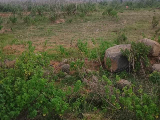 Residential Plot in Kengeri for resale Bengaluru. The reference number is 20664548