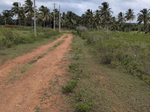 Residential Plot in Kergalli for resale Mysore. The reference number is 20641319